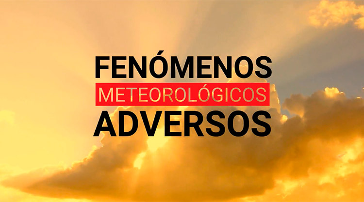 INSST Campaña